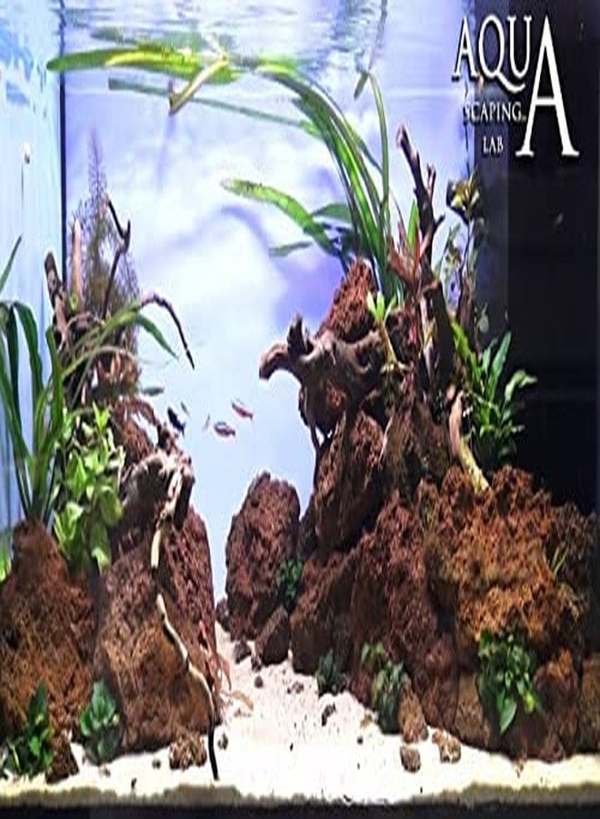 VAYINATO® Natural Red Lava Stone for Planted Aquarium Hardscape Aqua scaping Random Size and Shape (3 Kg (Medium Size 4 to 5 Piece)) by Petzlifeworld - Image 2